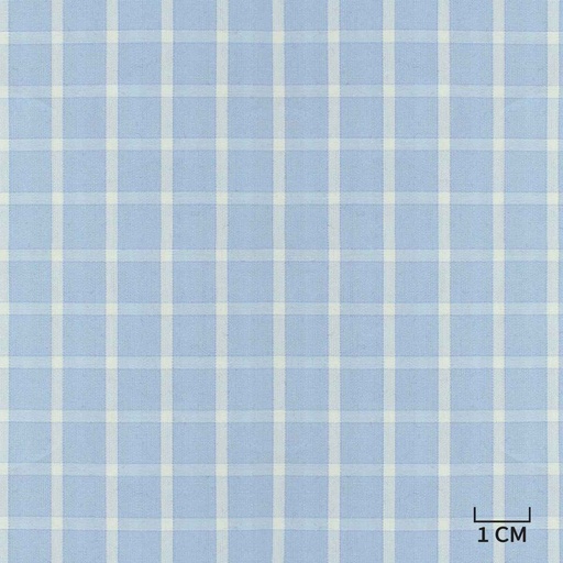 [H10435] BLUE, WHITE CHECKS