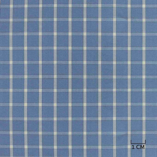 [H10436] BLUE, WHITE CHECKS