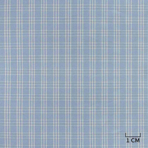 [H10438] BLUE, WHITE CHECKS