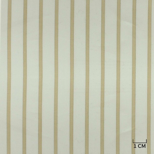 [H10415] WHITE, KHAKI STRIPES