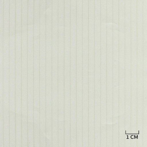 [H10427] WHITE, TAN STRIPES