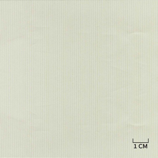 [H10431] WHITE, TAN STRIPES