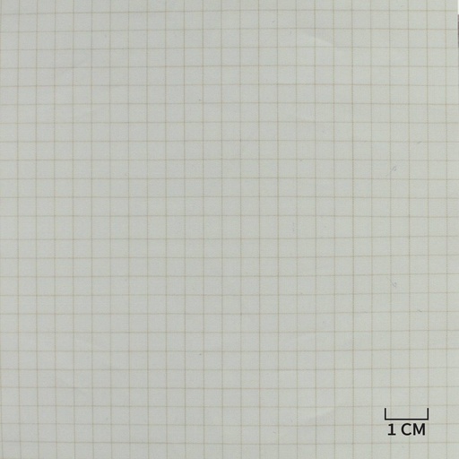 [H10444] WHITE, TAN CHECKS