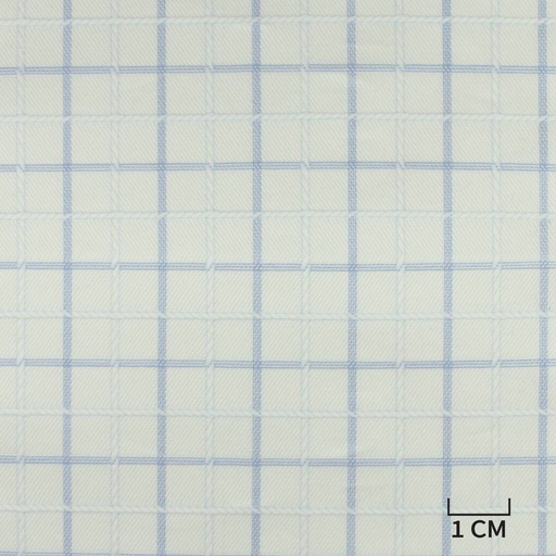 [H10461] WHITE, BLUE CHECKS