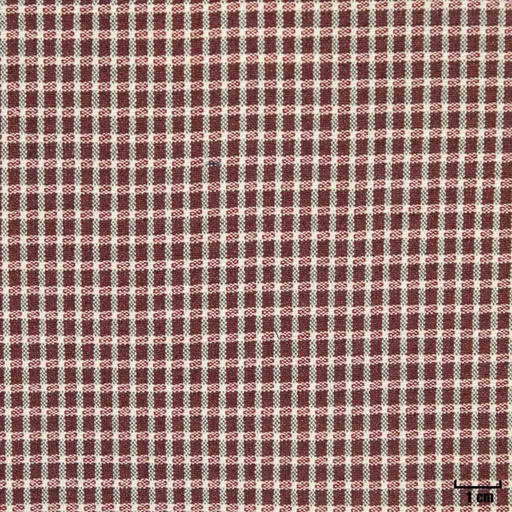 [316149] BURGUNDY, CHECKS