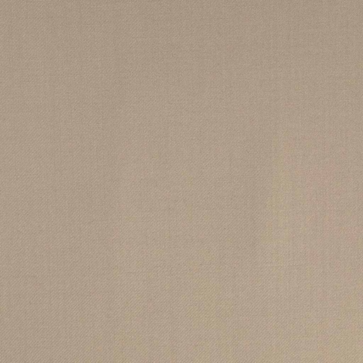 [315554] TAN, PLAIN