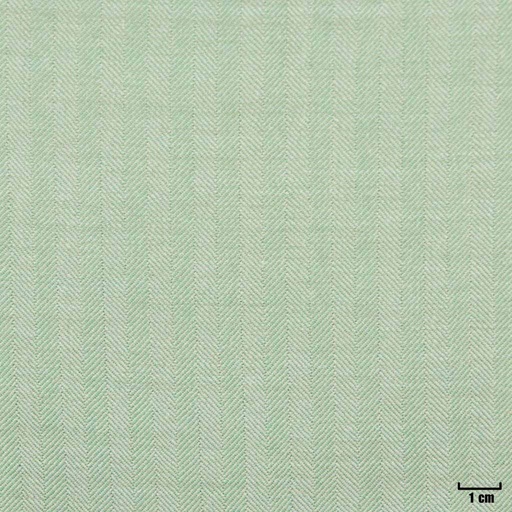[403966] LIGHT GREEN, HERRINGBONE