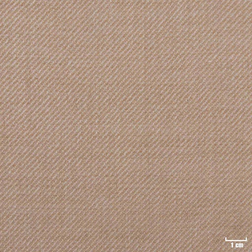 [403969] TAN, PLAIN