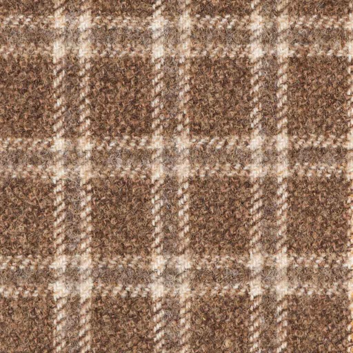 [404323] BROWN, CHECKS