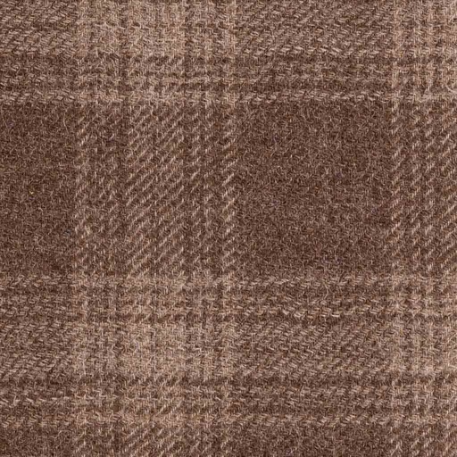 [404204] BROWN, CHECKS
