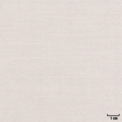 [404528] OFF WHITE, PLAIN