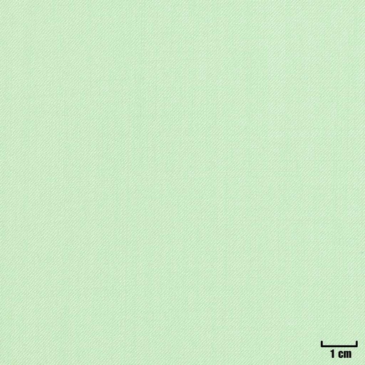 [404623] LIGHT GREEN, PLAIN