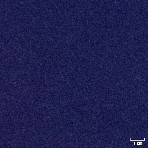 [404419] BLUE, PLAIN