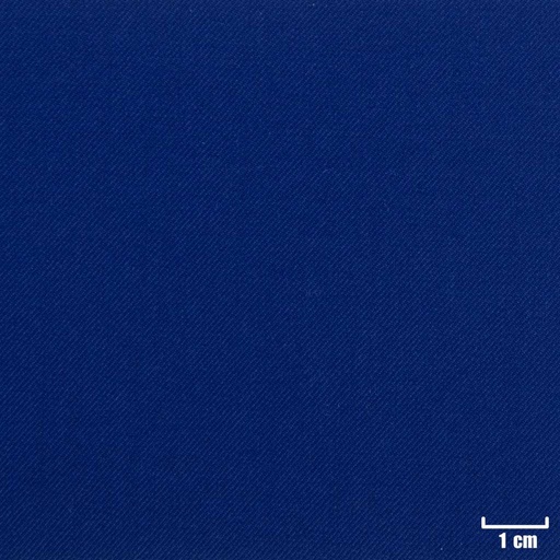 [404040] BLUE, PLAIN