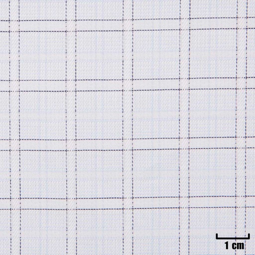 [H11249] WHITE, BLUE CHECKS