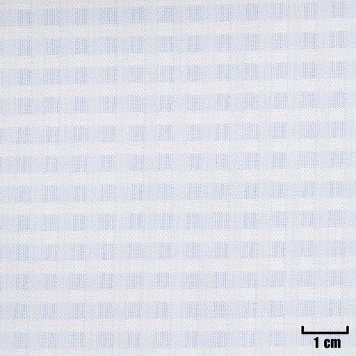 [H11345] BLUE, SMALL WHITE CHECKS