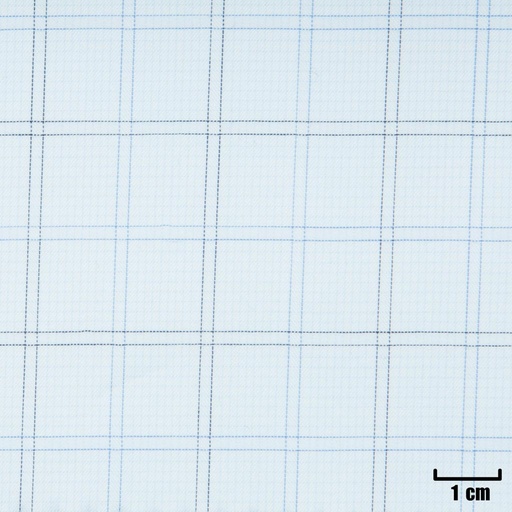[A1219] WHITE, BLUE CHECKS