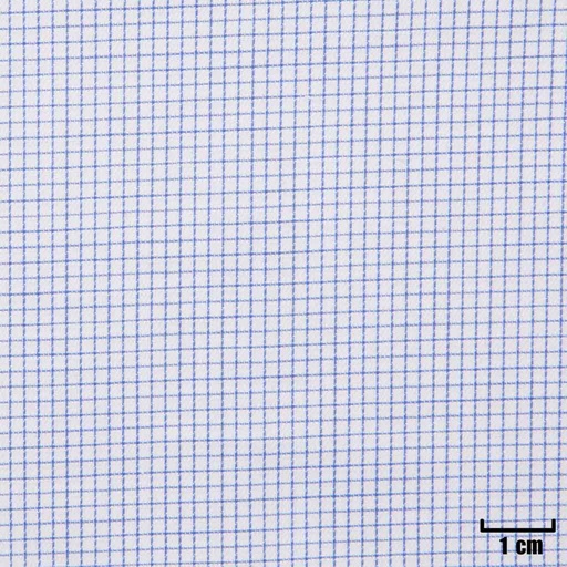 [H11204] WHITE, SMALL BLUE CHECKS