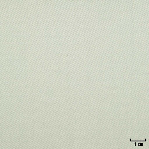 [501352] OFF WHITE, PLAIN