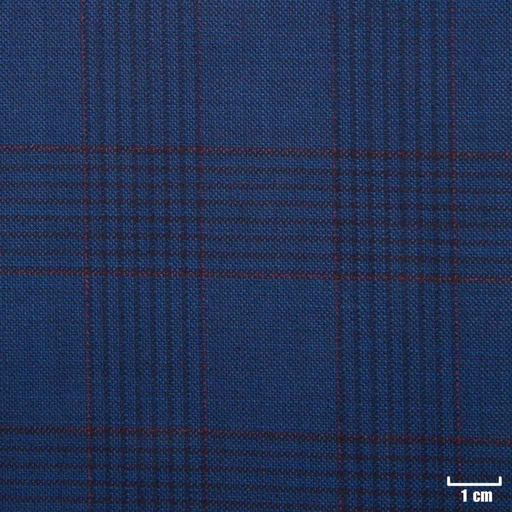 [501102] BLUE, RED CHECKS
