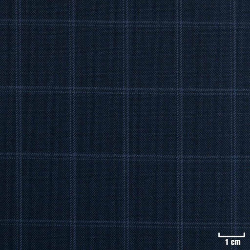 [224323] BLUE, CHECKS