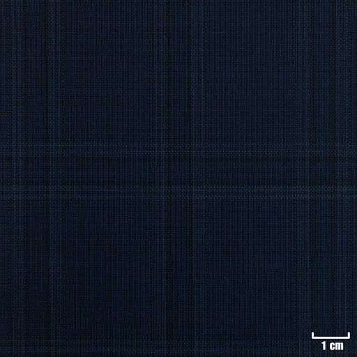 [224334] BLUE, CHECKS