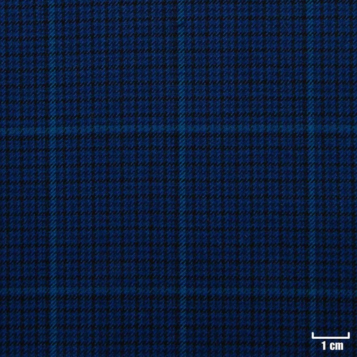 [271302] BLUE, CHECKS