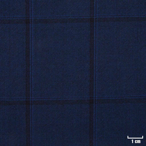 [822109] BLUE, BLACK CHECKS