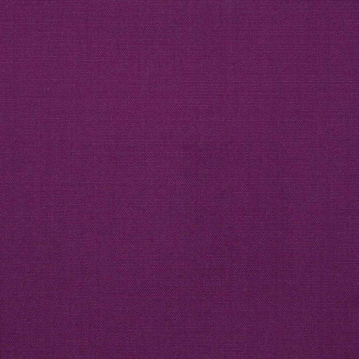 [224471] PURPLE, PLAIN