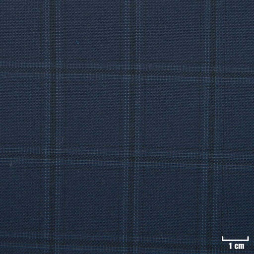 [822617] BLUE, CHECKS