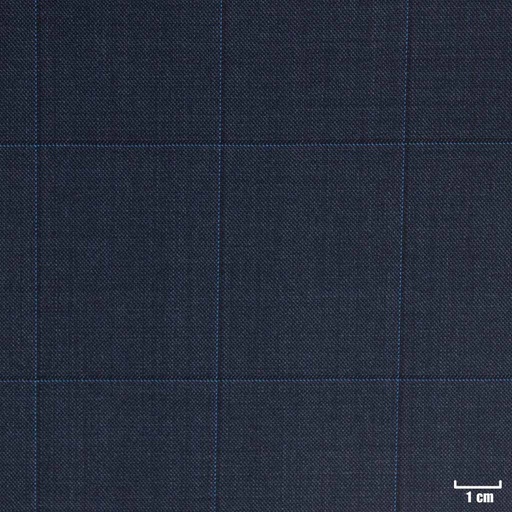 [222605] BLUE, CHECKS