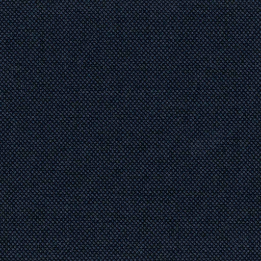 [317131] BLUE, BIRDEYE (DR# 65131)
