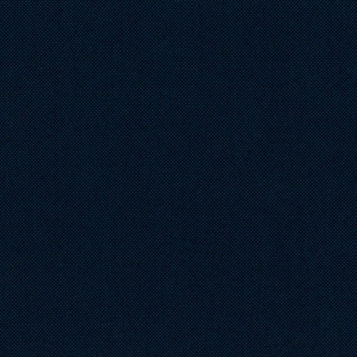 [317138] BLUE, PLAIN (DR# 65138)