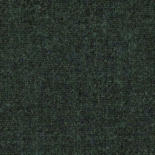 [317428] GREEN, PLAIN (DR# 95028)