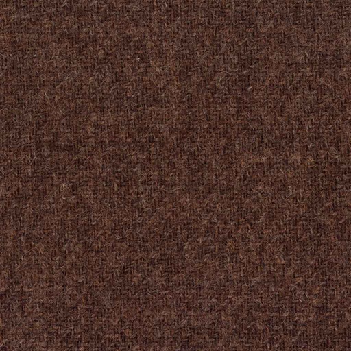 [317429] BROWN, PLAIN (DR# 95029)