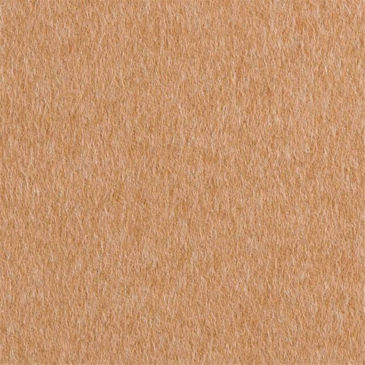 [405125] TAN, PLAIN