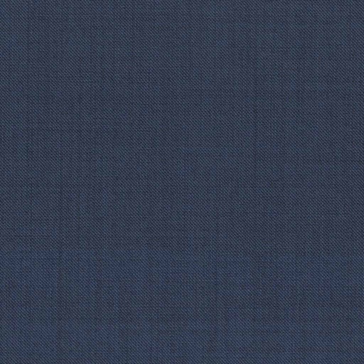 [317629] BLUE, SHARKSKIN (DR# 12529)