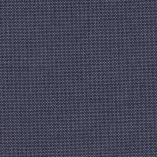 [317634] BLUE, BIRDEYE (DR# 12534)