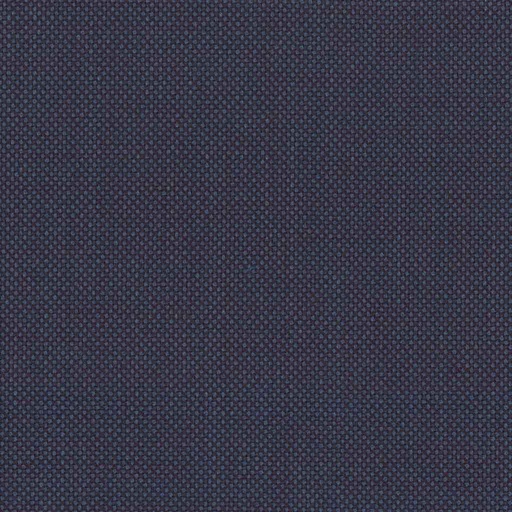 [317635] DARK BLUE, BIRDEYE (DR# 12535)