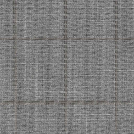 [317705] GREY, CHECKS (DR# 19005)