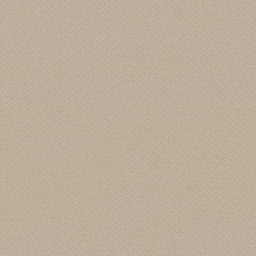 [317803] TAN, PLAIN (DR# 25403)