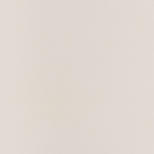 [317821] TAN, PLAIN (DR# 25421)