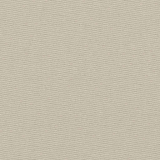 [317822] TAN, PLAIN (DR# 25422)