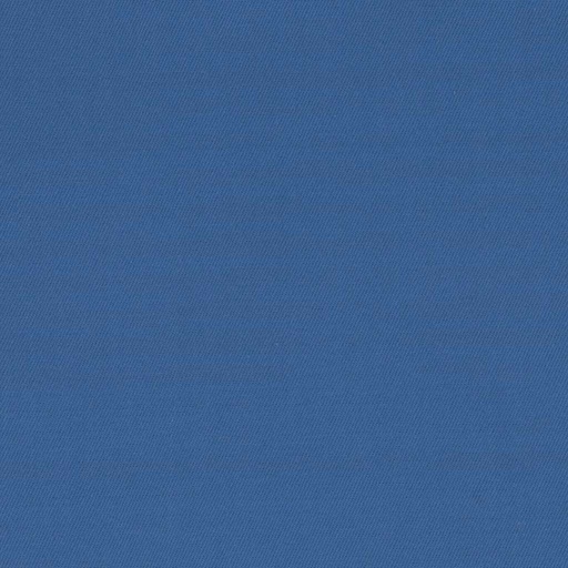 [317844] BLUE, PLAIN (DR# 25444)