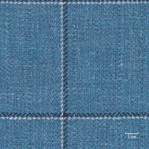 [317969] BLUE, CHECKS