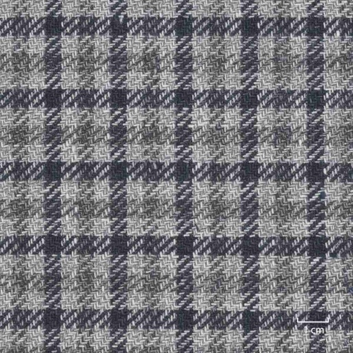 [317979] BLUE, CHECKS