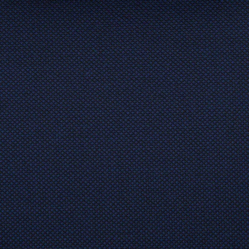 [228172] DARK BLUE, BIRDEYE