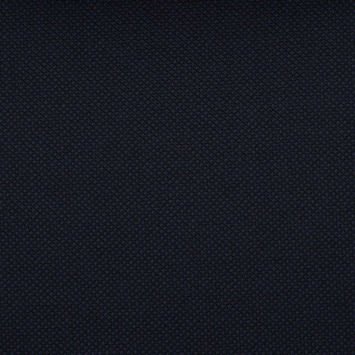 [228173] NAVY, BIRDEYE