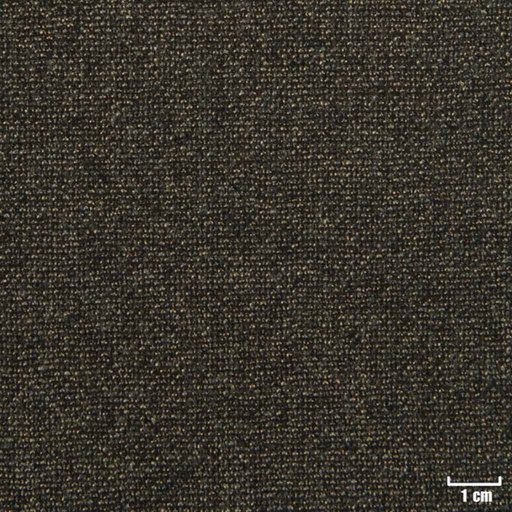 [228210] BROWN, DOTTED PATTERN