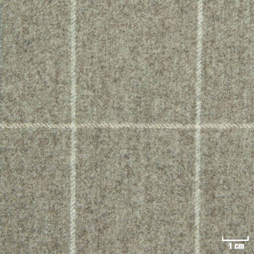 [228262] TAN, OFF WHITE CHECKS